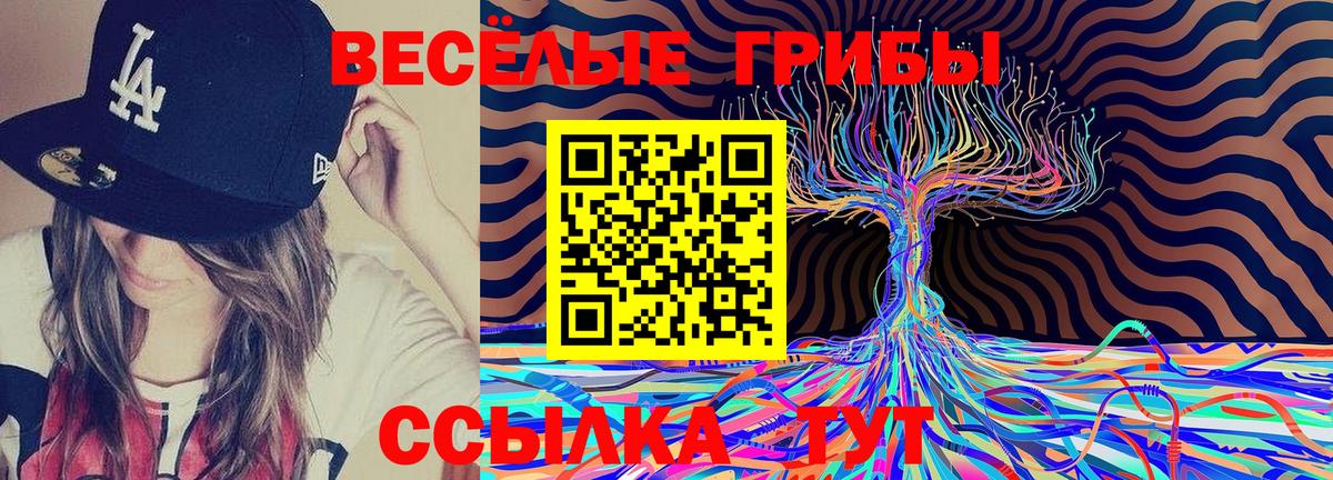 Галлюциногенные грибы мицелий Орск