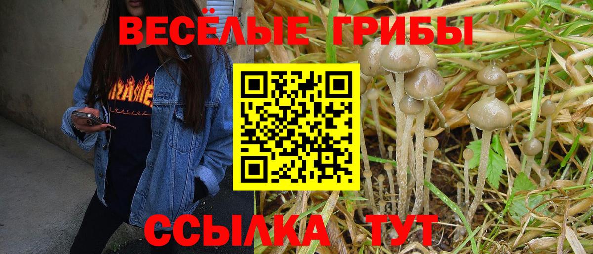 Псилоцибиновые грибы мицелий  Вход с VPN  Орск 